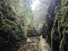 -五泄景区