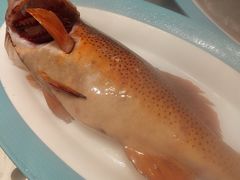 -美达尔烧烤海鲜家常菜(泰山路店)