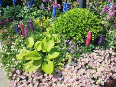 -方恒购物中心(望京小街店)