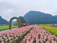 -广州市石门国家森林公园