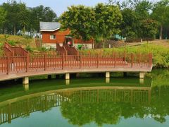 -大兴滨河森林公园