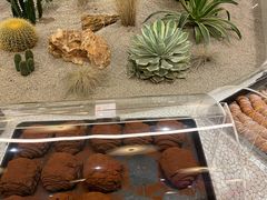 -OUR Bakery(SKP-S店)