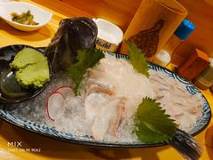 -晶吉·居酒屋·烧鸟·生鱼饭(中山区民主广场店)