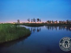 -春花秋色城市公园