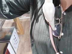 -吉丁鸟咖·异宠·寄养