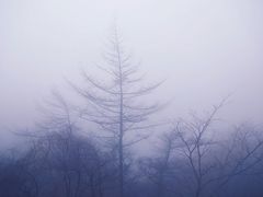 -崂山巨峰游览区