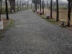 -田园东方蜜桃村的田野营地