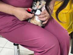 -纳吉亚猫专科动物医院博雅分院