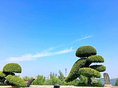-海沧湾公园