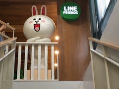 -line friends(明洞旗舰店)