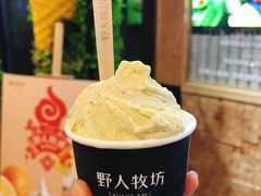 -野人先生现做冰淇淋(西安赛格店)