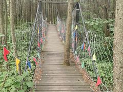 -青峰峡国家森林公园