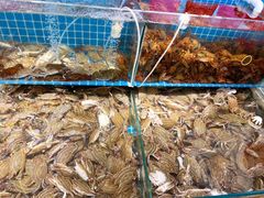 -港畔赶海蒸汽海鲜烧烤自助(仙螺岛店)