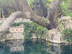 -蝴蝶泉公园