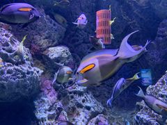 -成都浩海立方海洋公园