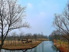 -溱湖国家湿地公园