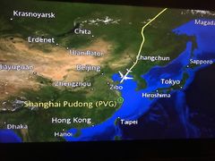 -约翰·菲茨杰拉德·肯尼迪国际机场