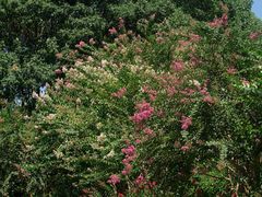 -杭州城北体育公园