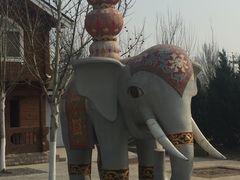 -永定河休闲森林公园