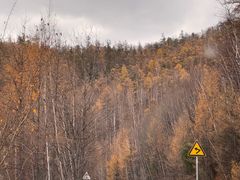 -莫尔道嘎国家森林公园