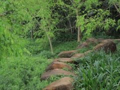 -白沙门生态公园