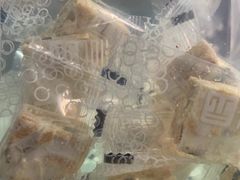 -沁园(新解放碑附二院店)