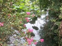 -韩湘水博园