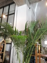 -M+hair salon专业造型沙龙