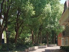 -上海虹桥迎宾馆
