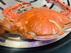 -蓝珊瑚蒸汽海鲜餐厅(龙奥店)