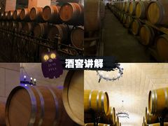 -北京张裕爱斐堡酒庄