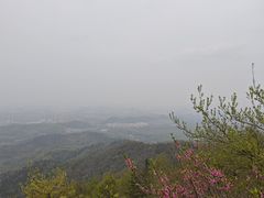 -紫金山山顶公园