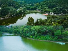 -地心探险极地