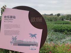 -光明小镇欢乐田园