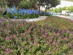 -Supine Bistro溯泮餐厅