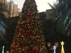 -广州富力丽思卡尔顿酒店