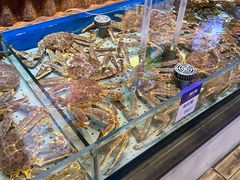 -开海·红岛海鲜虾水饺(石老人店)