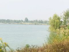 -漕湖湿地公园