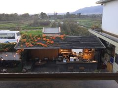 -翠田Green Field Kitchen
