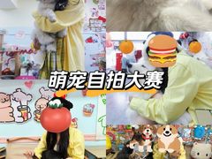 -汪说·狗咖·拼豆·宠物周边DIY(旺城大厦店)
