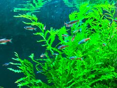 -上海海洋水族馆