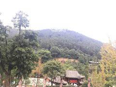 -楠柏弯休闲山庄(梨花溪店)
