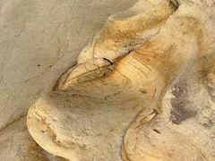 -老李家土菜馆·安吉地标美食