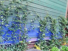 -状元人家·公园别墅衡东土菜(溪悦荟店)