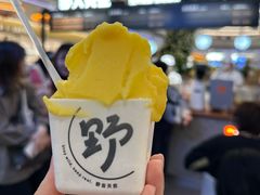 -野人先生Gelato(上海长宁龙之梦店)