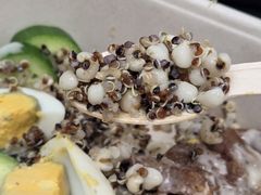 -大中华希尔顿酒店-念自助餐·嗨啤·小龙虾
