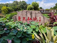 -广州莲花山旅游区