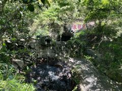 -宁波市保国寺古建筑博物馆