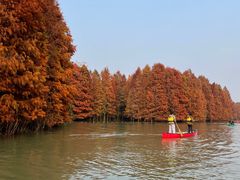 -上海海湾国家森林公园