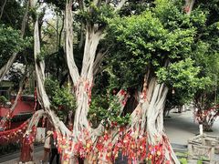 -白帝城·瞿塘峡景区